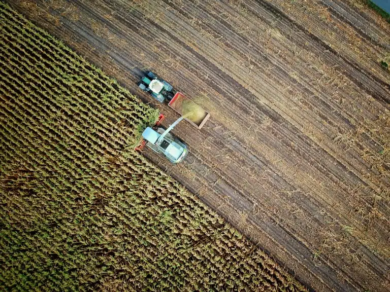 „AgroMaisto impulsas“ Birštone: technologijos ūkių rizikoms