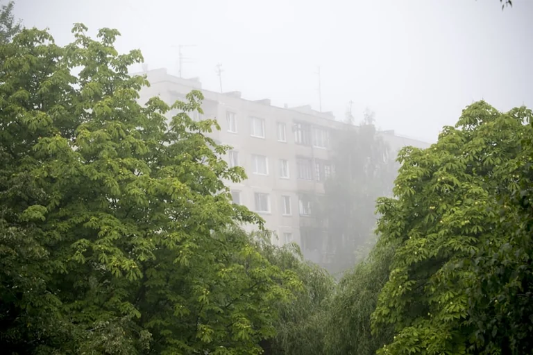 Orai Lietuvoje rugpjūčio 20 d.: permainingi orai ir lietaus tikimybė