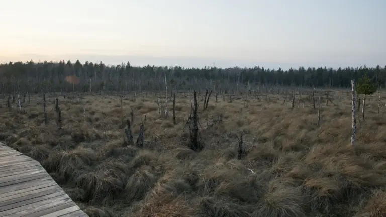 Pavandenėje – nemokamas 13 km žygis „Vertybių keliu“