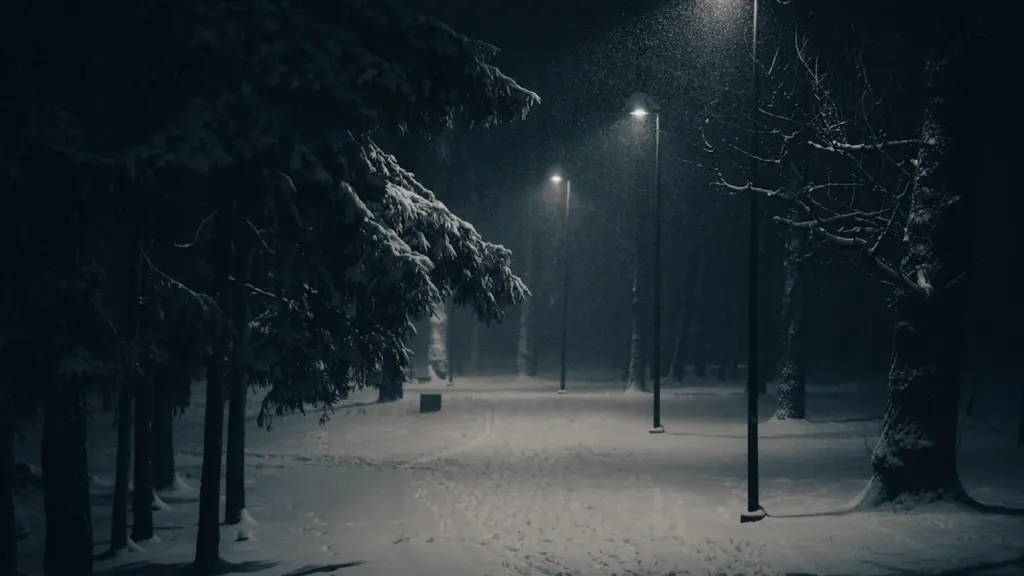 Snieguotas vakaro parkas Vilniuje su jaukiai šviečiančiais gatvės žibintais.