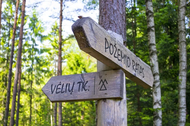 Rugpjūčio 22–23 d.: trys išvykos gamtoje be orų pažadų
