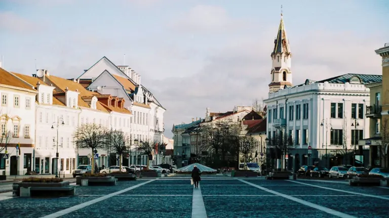 Rugsėjo 26-ąją Vilniuje – „Žygis už gyvybę 2026“: ką svarbu žinoti