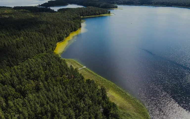 Savaitgalis Lietuvoje: trys planai rugpjūčio 29–30 d