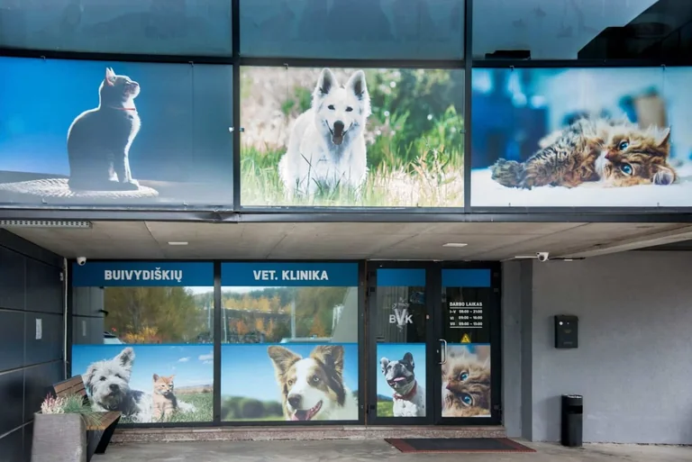 Vilniaus veterinarų pacientai – nuo šunų iki vorų