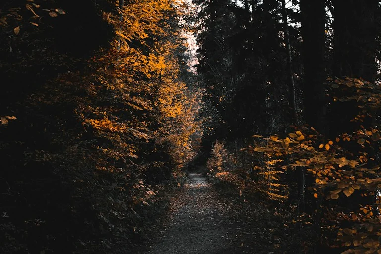 Sapnas apie kelią: ką jis gali atskleisti apie pasirinkimus